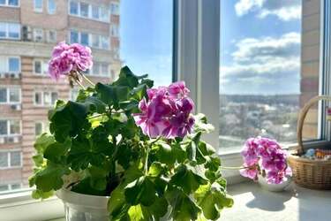 Погода на вихідні в Україні: дощ, вітер і штормові пориви