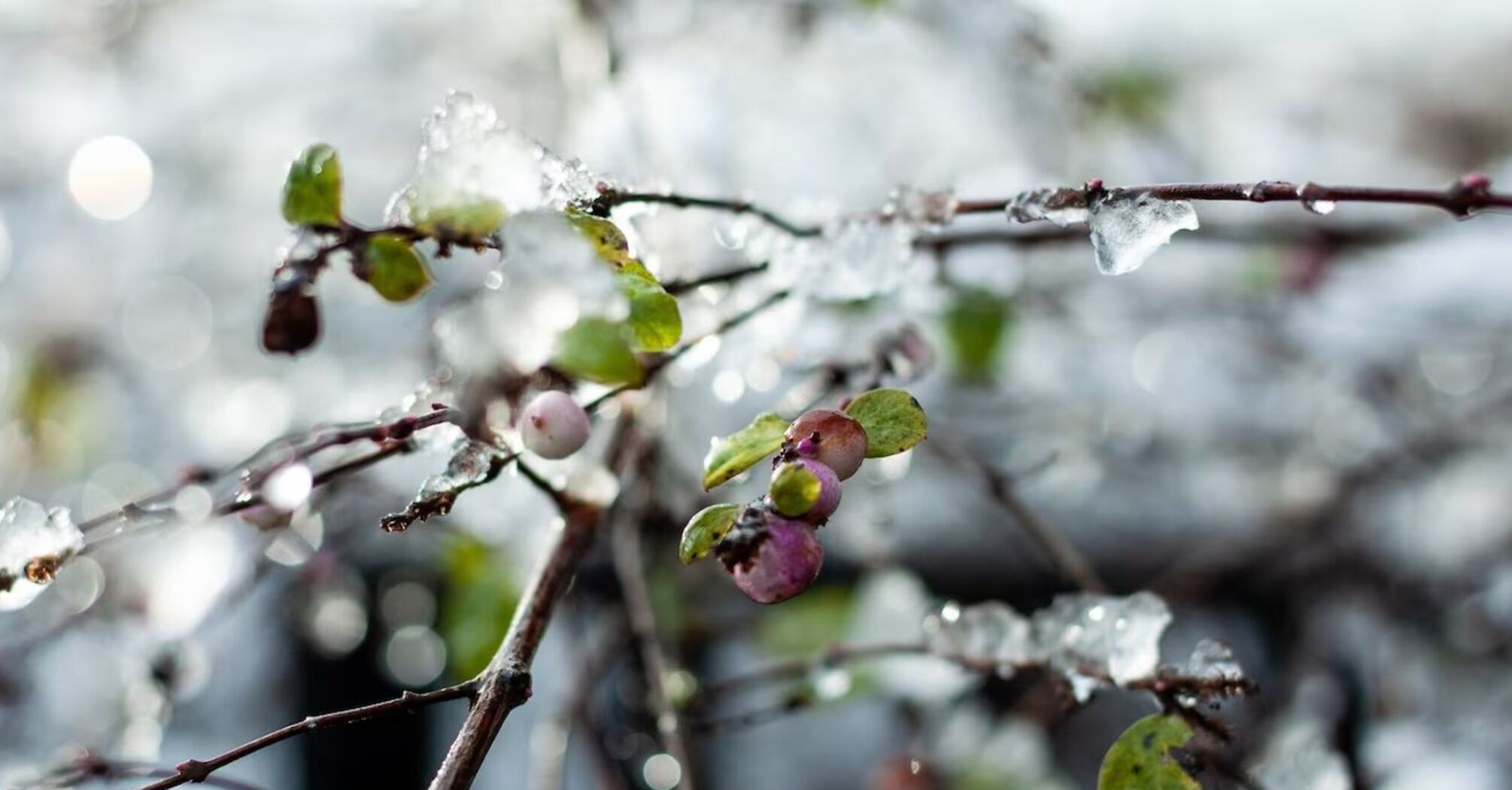 Снег и +20 градусов: апрель удивит атмосферными качелями
