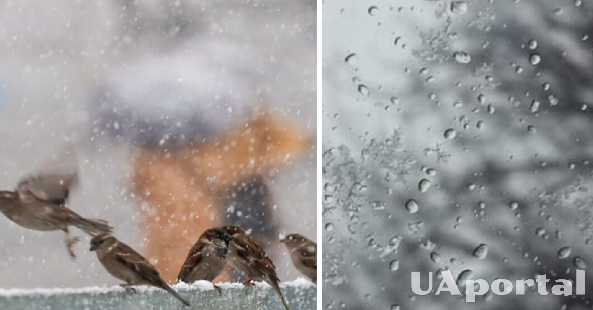 Солнечно и до 12 градусов тепла: прогноз погоды в Украине на 4 марта.