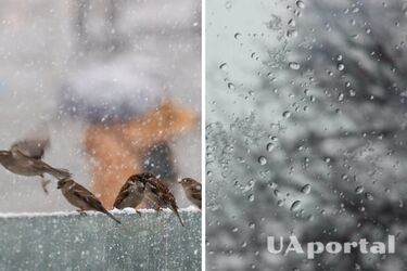 Солнечно и до 12 градусов тепла: прогноз погоды в Украине на 4 марта.