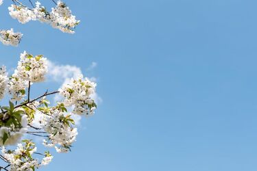 Україну очікує температурний шок: синоптики попереджають про різку зміну погоди на початку квітня