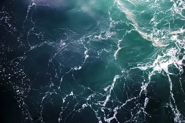 Під Тихим океаном були виявлені загадкові структури: вчені не можуть визначити їх вік