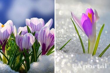 Без опадів та до 16 градусів тепла: прогноз погоди в Україні на 5 березня