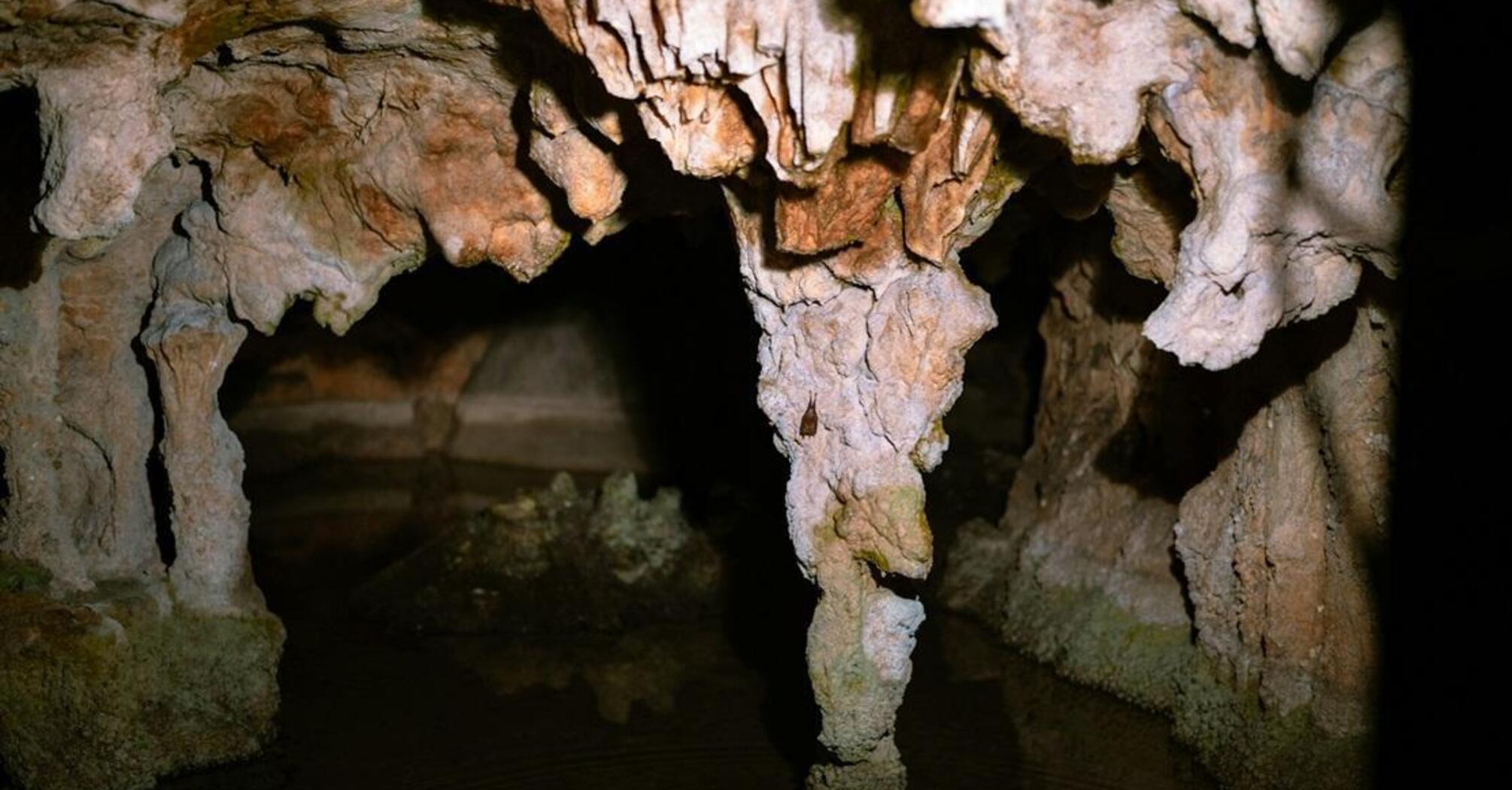 The most toxic in the world: a famous biologist told about a unique cave in Romania