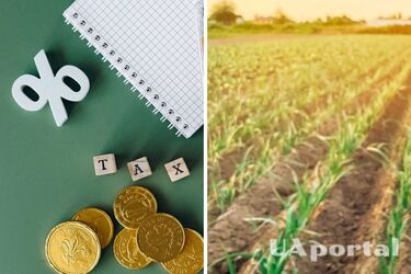 Яка категорія українців звільняється від оплати земельного податку у 2025 році: повний перелік