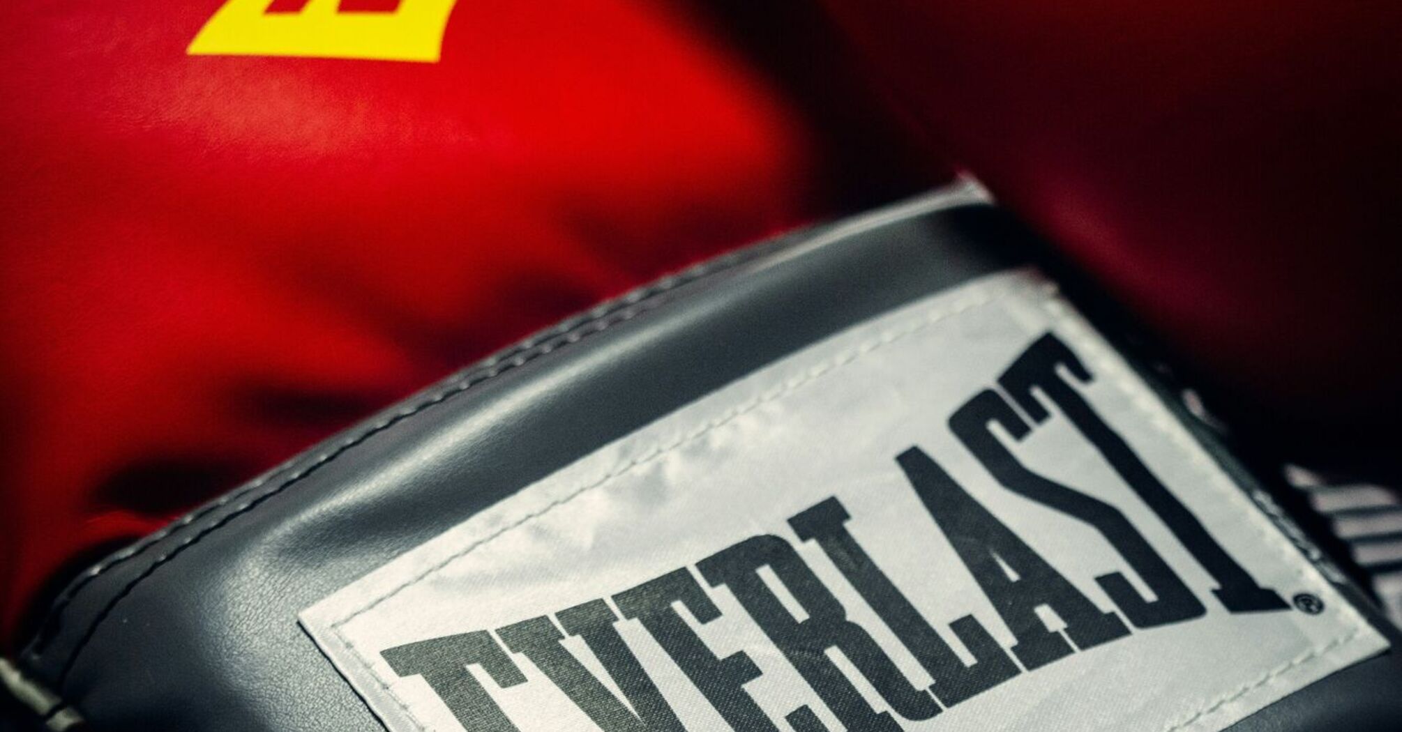 Червоні боксерські рукавички Everlast на темному рифленому покритті