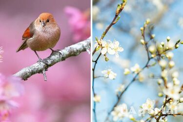 В Украину пришла настоящая весна: прогноз погоды на 7 марта