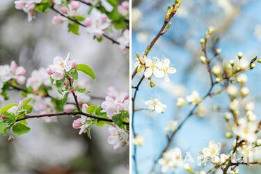 Солнечно и до 18 градусов тепла: прогноз погоды в Украине на 8 марта