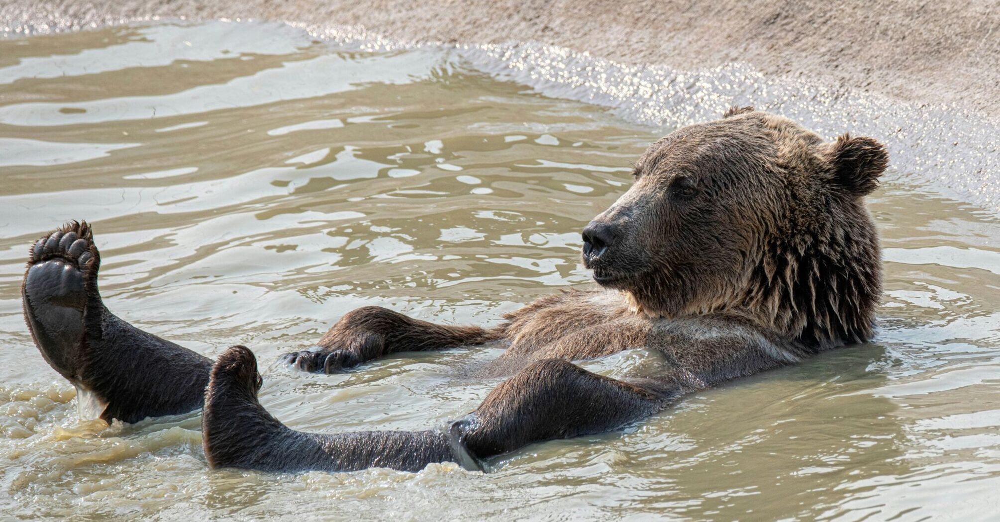 Рынок крипты теряет импульс и уверенность