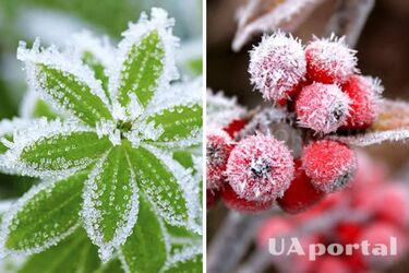 Заморозки, снег и штормовой ветер: прогноз погоды в Украине на 11 апреля.