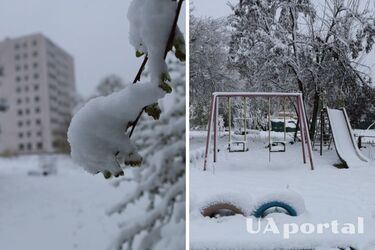 Дороги у кілометрових заторах: Одещину та Херсонщину засипає снігом (фото)
