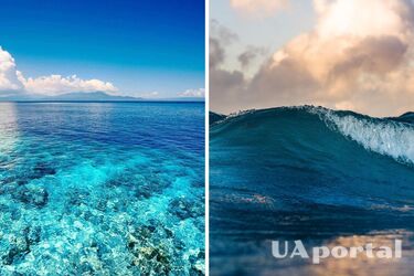 Океани можуть стати фіолетовими у майбутньому: вчені назвали причини феномену