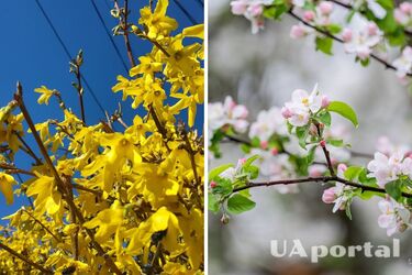 Солнечно и сухо в большинстве регионов: прогноз погоды в Украине на 18 апреля.