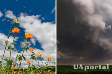 Аномально спекотно: кліматолог розповіла, чого очікувати від погоди у 2025 році