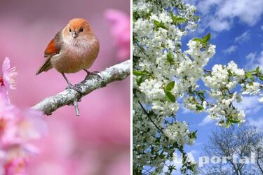 В Украине потеплеет: прогноз погоды на 3 апреля