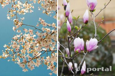 Ожидается комфортная сухая и теплая погода до +26: прогноз погоды в Украине на 22 апреля