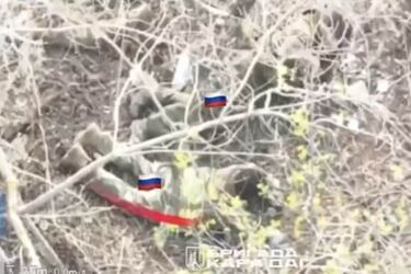 Бійці Нацгвардії взяли в полон групу ворожих піхотинців на Купʼянському напрямку (фото)