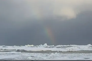 Пінгвіни та неймовірні види крижаної пустелі: українські полярники поділились світлинами, які перемогли у фотоконкурсі Вікіпедії (фото)