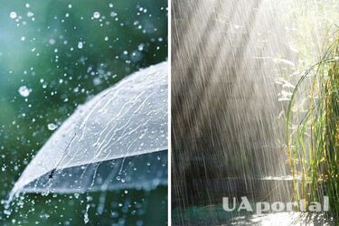 Сильный ветер, дожди с грозами и резкое понижение температуры до +12: прогноз погоды в Украине на 26 апреля.