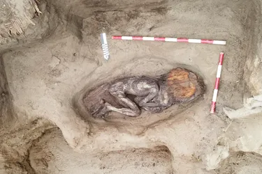 У Перу виявили розкішну гробницю знатної жінки віком 5000 років: чим цікава