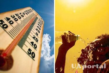 Аномально жаркое лето 2025 может стать очередным ударом по экосистеме: о чем идет речь