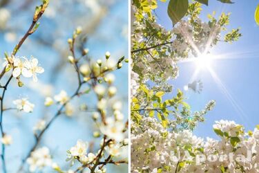 Ветренно и до 24 градусов тепла: прогноз погоды в Украине на 1 мая.