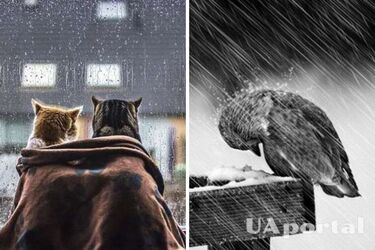 Очікується значне похолодання та мокрий сніг: прогноз погоди в Україні на вихідні