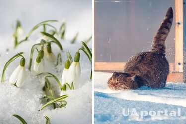 Аномально холодно: погода в Україні на 8 квітня