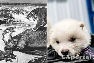 Вченим вдалось 'воскресити' доісторичного лютововка