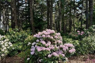 Погода в Україні 2 травня: де є ймовірність заморозків