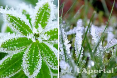 В Украине движется похолодание, прогнозируются заморозки до -5: прогноз погоды в Украине на 2 мая