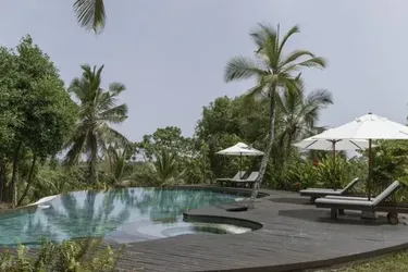 Топ 5 отелей на Шри-Ланке: от бунгало у океана до уединенных лоджий в самом сердце джунглей