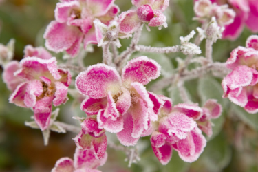 Готовьте куртки: где в ближайшие дни в Украине снова будут заморозки и выпадет снег