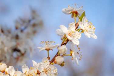 Ожидаемое потепление: синоптики назвали, когда ждать настоящего лета в Украине