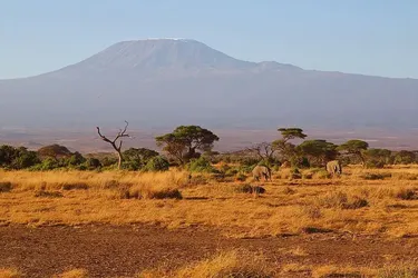 Лучшие маршруты для автопутешествий в Кении: 5 вариантов для увлекательных африканских отпусков