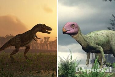 Вчені відкрили новий вид хижих динозаврів, які мешкали на Землі приблизно 220 мільйонів років тому: чим цікаві