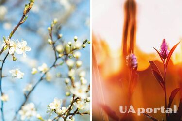 Від +10 до +20: якою буде погода в Україні 17 травня