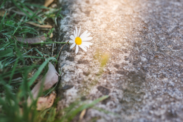 Погода з сюрпризом: після тепла в Україну повернуться холоди - Діденко