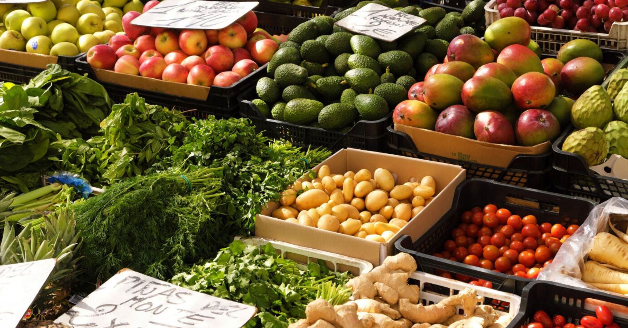 Летом в Украине возможен дефицит ряда продуктов: что подорожает больше всего