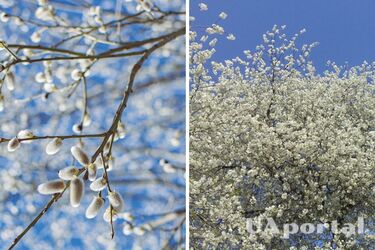 Дождь и заморозки до -3: прогноз погоды в Украине на выходные