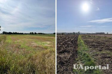 Земельный налог-2025: должны ли его платить люди с 3 группой инвалидности