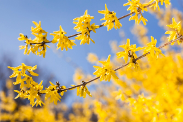 Довгоочікуване літо: Діденко розповіла, коли Україна стане найтеплішою в Європі