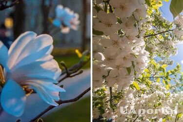 Потепління до +20 та грозові дощі: прогноз погоди в Україні на 22 травня