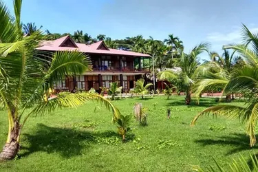 Приключения и роскошь: лучшие отели в дикой природе джунглей