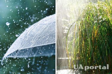 Ряд областей накроют дожди с грозами: погода в Украине на 23 мая