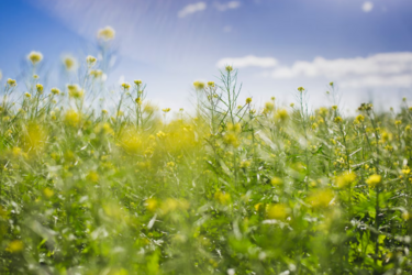 Погода здивує: синоптики розповіли про можливий літній сніг в Україні та холодну хвилю в Європі