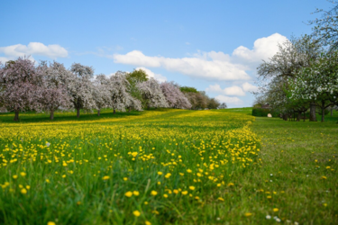 Готовьтесь к жаре: синоптик спрогнозировала, когда в Украину придет настоящее лето
