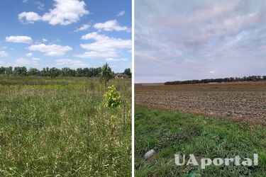 Какую площадь земельного участка имеет право получить участник боевых действий: ответ юриста