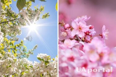 Від +9 на заході до +29 на сході та півдні: прогноз погоди в Україні на 24 травня