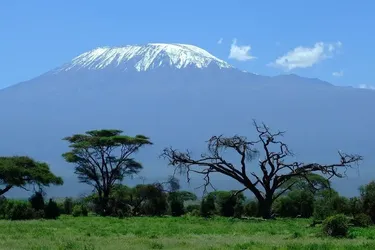 Топ-8 роскошных сафари в Африке: с роскошными апартаментами, захватывающими приключениями и обилием дикой природы вокруг